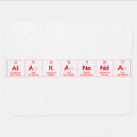 Alakananda  Baby Blanket