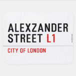 alexzander Street  Baby Blanket