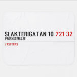 Slakterigatan 10  Baby Blanket