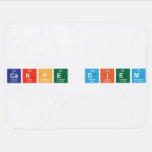 carpe diem  Baby Blanket