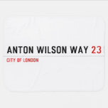 Anton Wilson Way  Baby Blanket