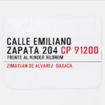 CALLE EMILIANO  ZAPATA 204  Baby Blanket