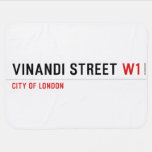 VINANDI STREET  Baby Blanket