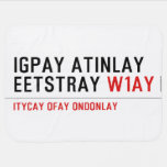 Igpay Atinlay Eetstray  Baby Blanket