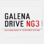 galena Drive  Baby Blanket