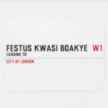FESTUS KWASI BOAKYE   Baby Blanket