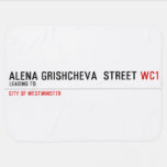 ALENA GRISHCHEVA  STREET  Baby Blanket