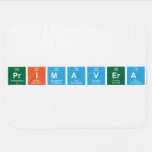 primavera  Baby Blanket