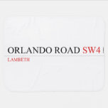 Orlando Road  Baby Blanket
