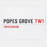 Popes Grove  Baby Blanket