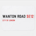 Wanton Road  Baby Blanket