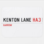 Kenton Lane  Baby Blanket