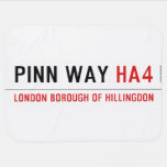 Pinn Way  Baby Blanket