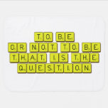 TO BE
 OR NOT TO BE
 THAT IS THE 
 QUESTION  Baby Blanket