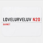 Lovelurveluv  Baby Blanket