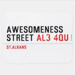 awesomeness street  Baby Blanket