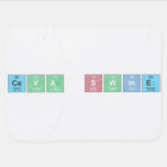 Ceva Swine  Baby Blanket