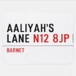 Aaliyah's  Lane  Baby Blanket