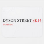 Dyson Street  Baby Blanket