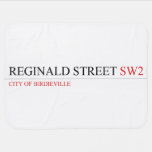 Reginald street  Baby Blanket