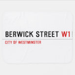BERWICK STREET  Baby Blanket