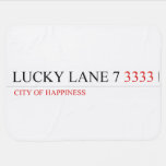 Lucky Lane 7  Baby Blanket