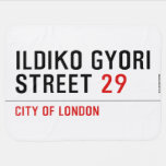 Ildiko Gyori Street  Baby Blanket