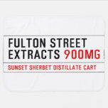 Fulton street Extracts  Baby Blanket