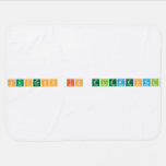Success is elemental  Baby Blanket