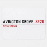 Avington Grove   Baby Blanket