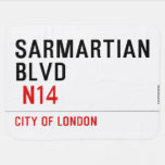 sarmartian blvd   Baby Blanket