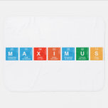 MAXIMUS  Baby Blanket