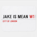 Jake is mean  Baby Blanket