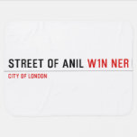 Street of anil  Baby Blanket