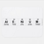 Alenium  Baby Blanket