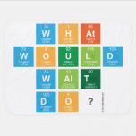 What
 would
 Walt
 Do?  Baby Blanket