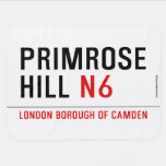 primrose hill  Baby Blanket