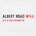 Albert Road  Baby Blanket