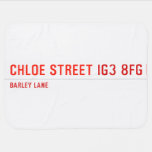 chloe Street  Baby Blanket
