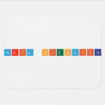 Feria Cientifica  Baby Blanket