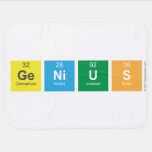 genius  Baby Blanket