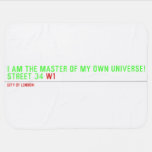 I am the master of my own universe! Street 34  Baby Blanket