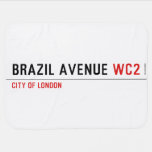 Brazil Avenue  Baby Blanket