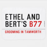 ETHeL and Bert’s  Baby Blanket