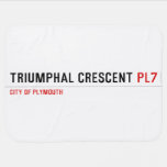 Triumphal Crescent  Baby Blanket