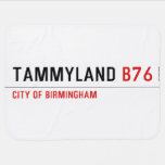 TAMMYLAND  Baby Blanket