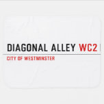 Diagonal Alley  Baby Blanket