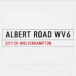 Albert Road  Baby Blanket