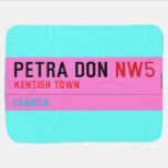 petra don  Baby Blanket