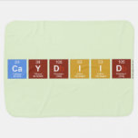 CAYDIID  Baby Blanket